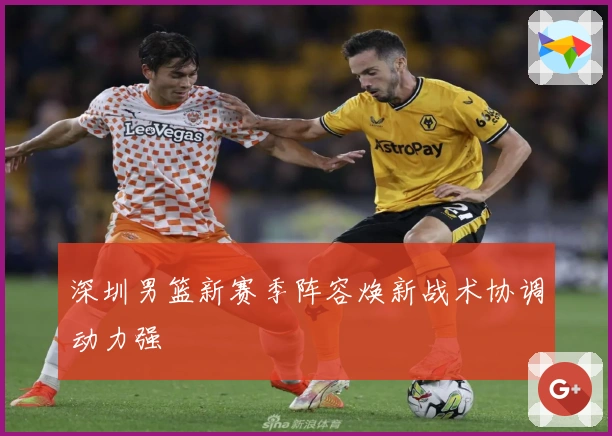 深圳男篮新赛季阵容焕新战术协调动力强