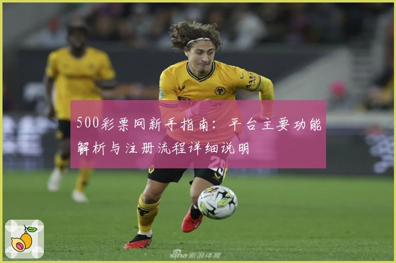 500彩票网新手指南：平台主要功能解析与注册流程详细说明